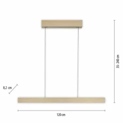 Suspension Paul Neuhaus PURE E-MOTION LED Or, 1 lumière, Télécommandes