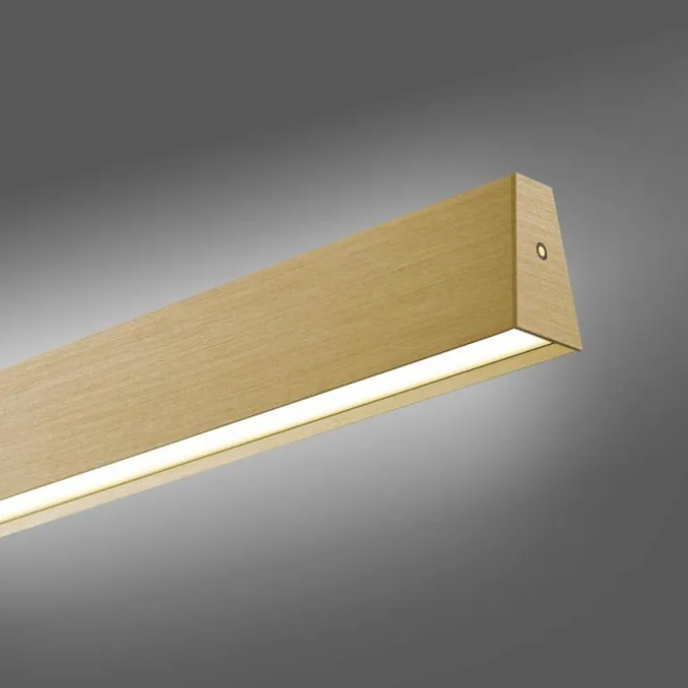 Suspension Paul Neuhaus PURE E-MOTION LED Or, 1 lumière, Télécommandes