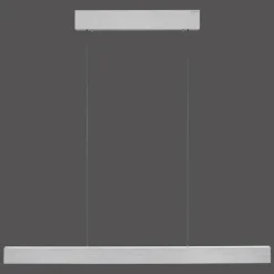 Suspension Paul Neuhaus PURE E-MOTION LED Argenté, 1 lumière, Télécommandes