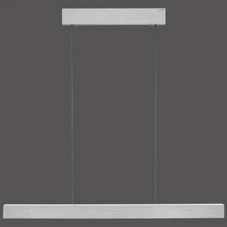 Suspension Paul Neuhaus PURE E-MOTION LED Argenté, 1 lumière, Télécommandes