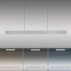 Suspension Paul Neuhaus PURE E-MOTION LED Argenté, 1 lumière, Télécommandes