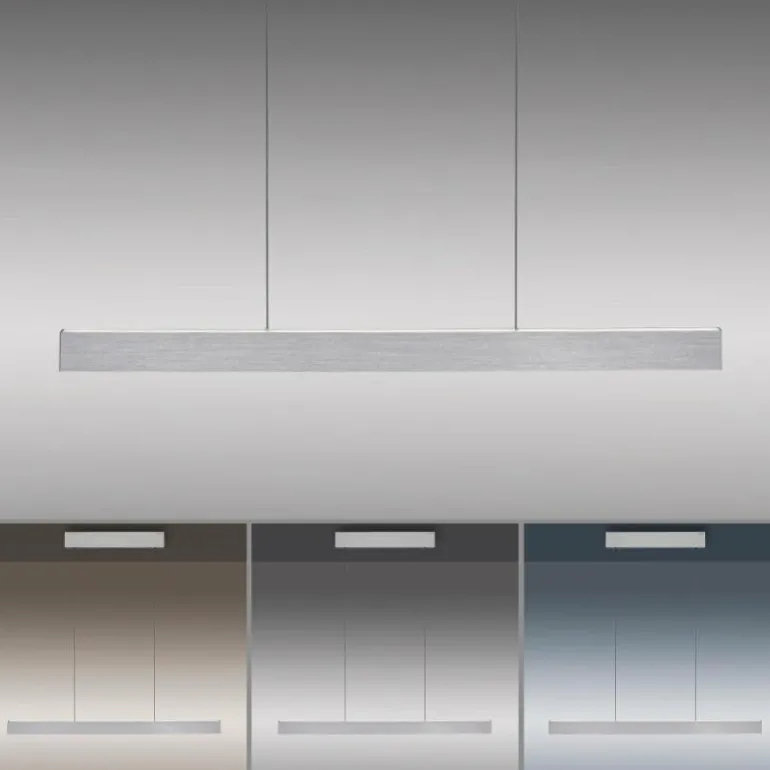 Suspension Paul Neuhaus PURE E-MOTION LED Argenté, 1 lumière, Télécommandes