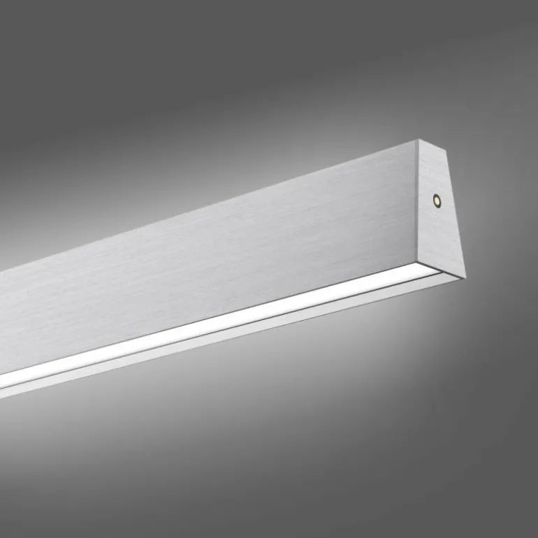 Suspension Paul Neuhaus PURE E-MOTION LED Argenté, 1 lumière, Télécommandes