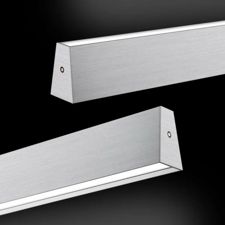 Suspension Paul Neuhaus PURE E-MOTION LED Argenté, 1 lumière, Télécommandes