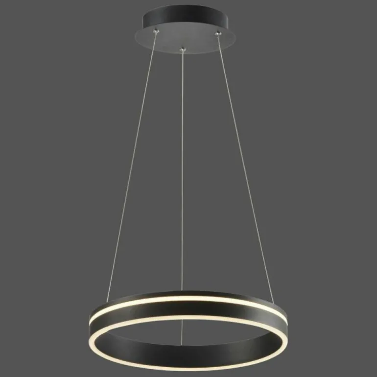 Suspension Paul Neuhaus Q-VITO LED Anthracite, 1 lumière, Télécommandes