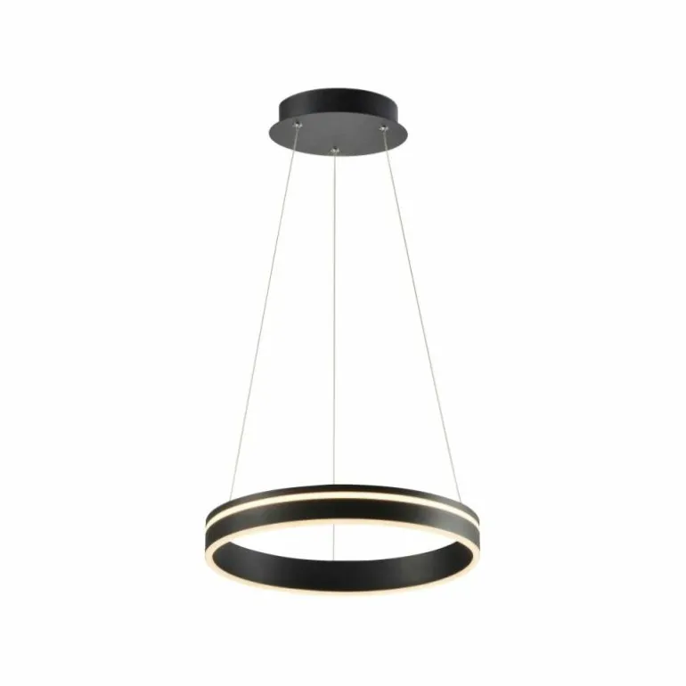 Suspension Paul Neuhaus Q-VITO LED Anthracite, 1 lumière, Télécommandes