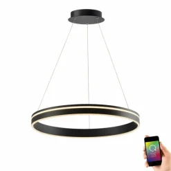 Suspension Paul Neuhaus Q-VITO LED Anthracite, 1 lumière, Télécommandes