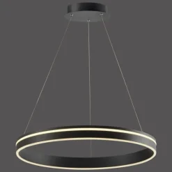 Suspension Paul Neuhaus Q-VITO LED Anthracite, 1 lumière, Télécommandes