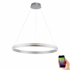 Suspension Paul Neuhaus Q-VITO LED Acier inoxydable, 1 lumière, Télécommandes