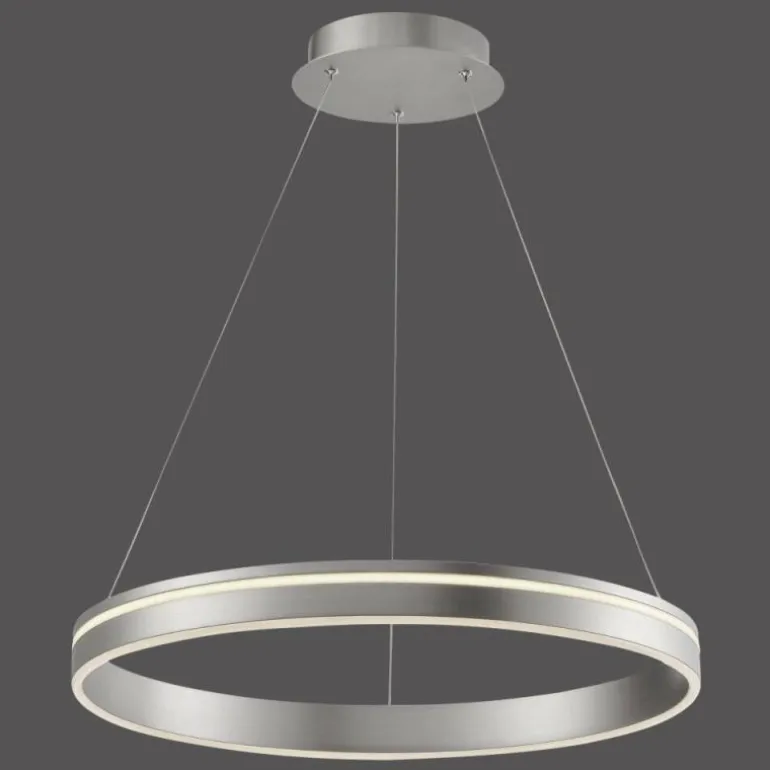 Suspension Paul Neuhaus Q-VITO LED Acier inoxydable, 1 lumière, Télécommandes