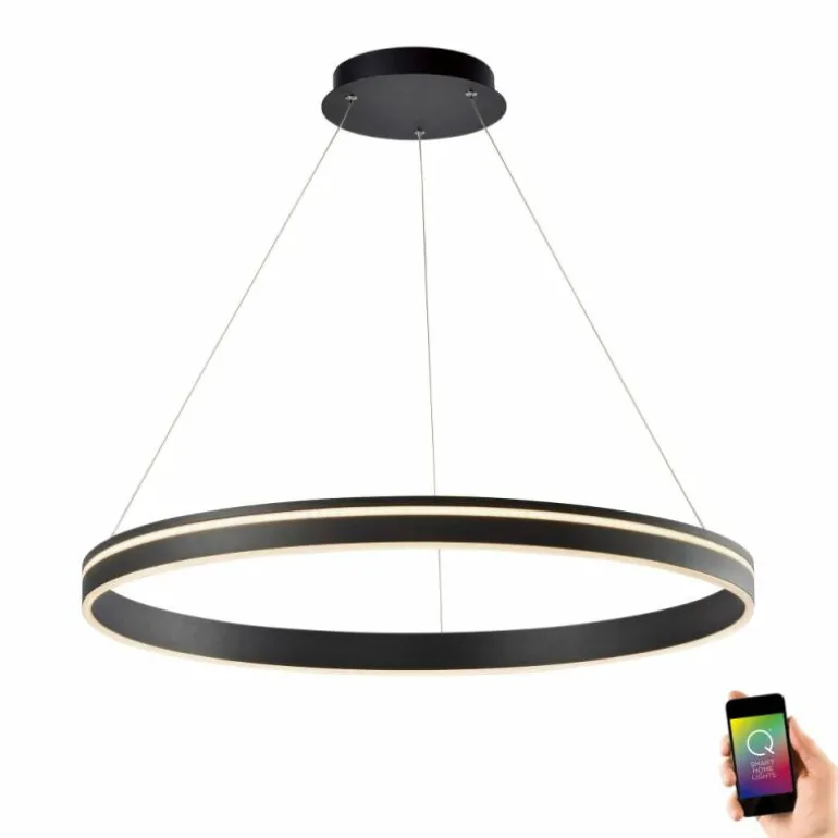Suspension Paul Neuhaus Q-VITO LED Anthracite, 1 lumière, Télécommandes