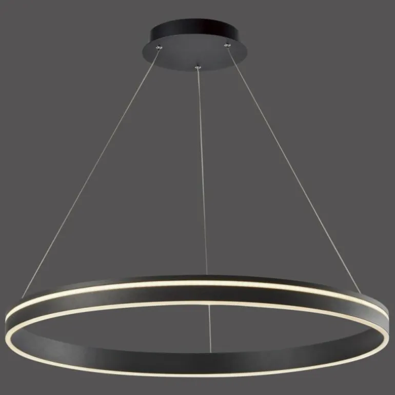 Suspension Paul Neuhaus Q-VITO LED Anthracite, 1 lumière, Télécommandes