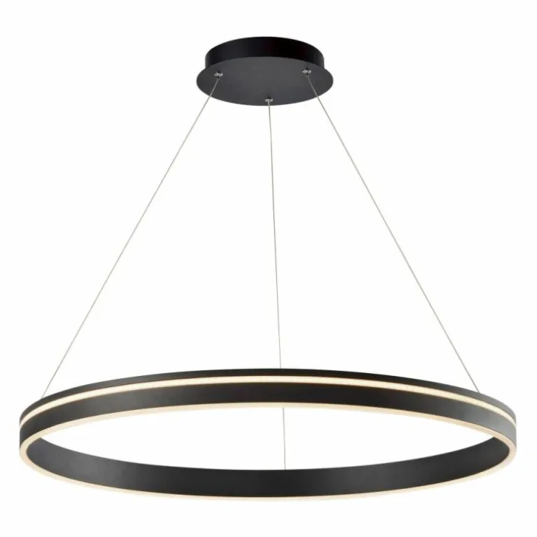 Suspension Paul Neuhaus Q-VITO LED Anthracite, 1 lumière, Télécommandes