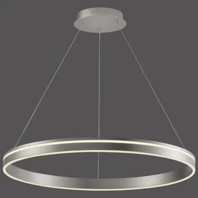 Suspension Paul Neuhaus Q-VITO LED Acier inoxydable, 1 lumière, Télécommandes