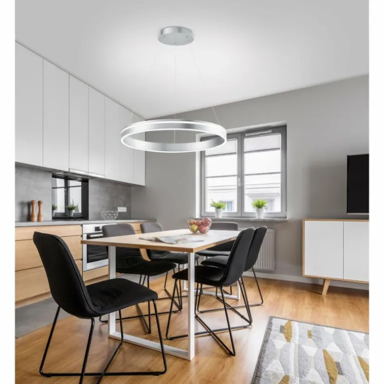 Suspension Paul Neuhaus Q-VITO LED Acier inoxydable, 1 lumière, Télécommandes