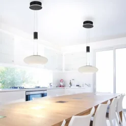 Suspension Paul Neuhaus Q-ETIENNE LED Noir, 1 lumière, Télécommandes