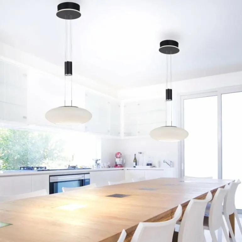 Suspension Paul Neuhaus Q-ETIENNE LED Noir, 1 lumière, Télécommandes