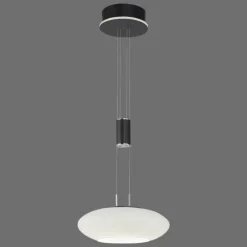 Suspension Paul Neuhaus Q-ETIENNE LED Noir, 1 lumière, Télécommandes
