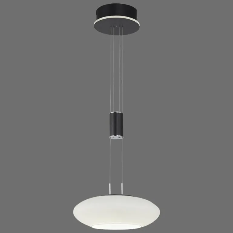 Suspension Paul Neuhaus Q-ETIENNE LED Noir, 1 lumière, Télécommandes