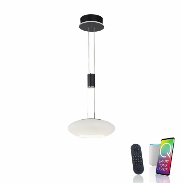Suspension Paul Neuhaus Q-ETIENNE LED Noir, 1 lumière, Télécommandes