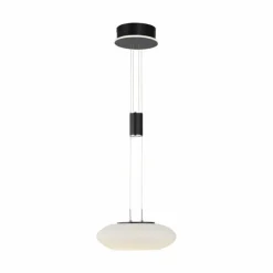 Suspension Paul Neuhaus Q-ETIENNE LED Noir, 1 lumière, Télécommandes