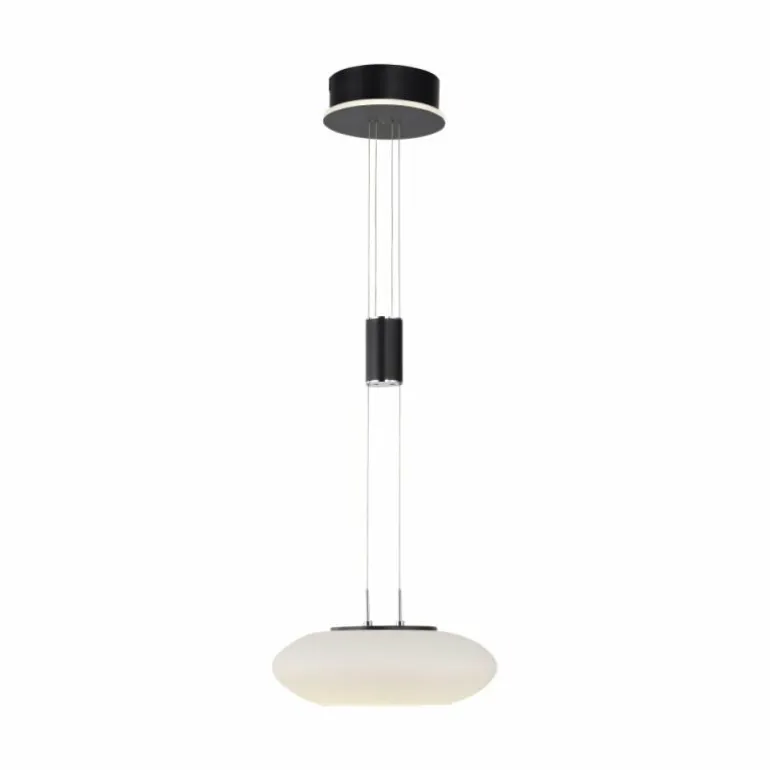 Suspension Paul Neuhaus Q-ETIENNE LED Noir, 1 lumière, Télécommandes