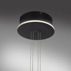 Suspension Paul Neuhaus Q-ETIENNE LED Noir, 1 lumière, Télécommandes