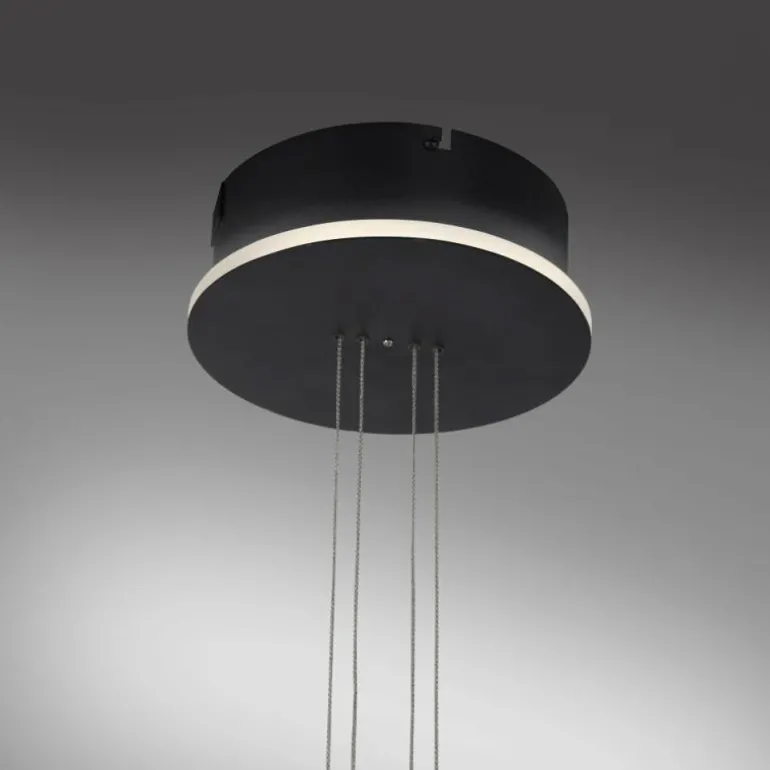 Suspension Paul Neuhaus Q-ETIENNE LED Noir, 1 lumière, Télécommandes
