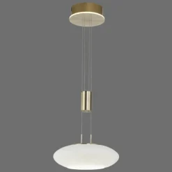 Suspension Paul Neuhaus Q-ETIENNE LED Laiton, 1 lumière, Télécommandes