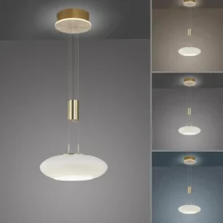 Suspension Paul Neuhaus Q-ETIENNE LED Laiton, 1 lumière, Télécommandes