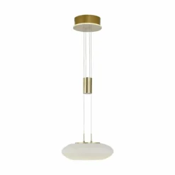 Suspension Paul Neuhaus Q-ETIENNE LED Laiton, 1 lumière, Télécommandes