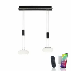 Suspension Paul Neuhaus Q-ETIENNE LED Noir, 2 lumières, Télécommandes