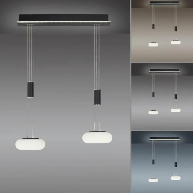 Suspension Paul Neuhaus Q-ETIENNE LED Noir, 2 lumières, Télécommandes