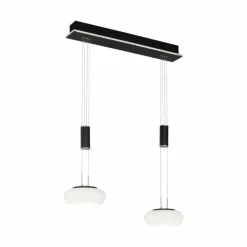 Suspension Paul Neuhaus Q-ETIENNE LED Noir, 2 lumières, Télécommandes