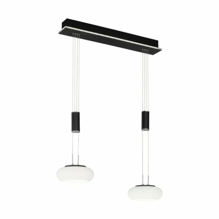 Suspension Paul Neuhaus Q-ETIENNE LED Noir, 2 lumières, Télécommandes