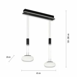Suspension Paul Neuhaus Q-ETIENNE LED Noir, 2 lumières, Télécommandes