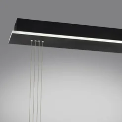 Suspension Paul Neuhaus Q-ETIENNE LED Noir, 2 lumières, Télécommandes