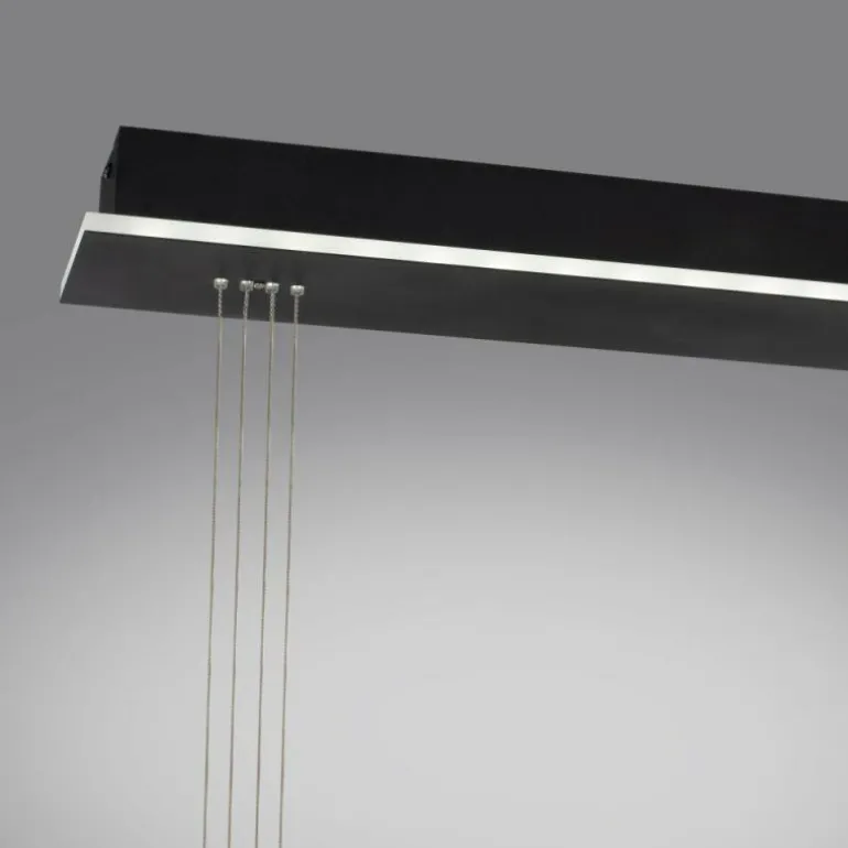 Suspension Paul Neuhaus Q-ETIENNE LED Noir, 2 lumières, Télécommandes