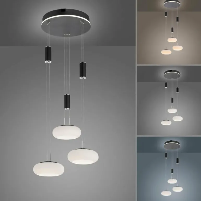 Suspension Paul Neuhaus Q-ETIENNE LED Noir, 3 lumières, Télécommandes