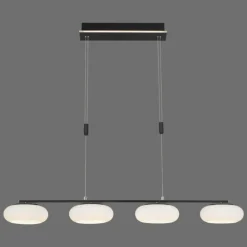 Suspension Paul Neuhaus Q-ETIENNE LED Noir, 4 lumières, Télécommandes