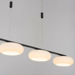 Suspension Paul Neuhaus Q-ETIENNE LED Noir, 4 lumières, Télécommandes