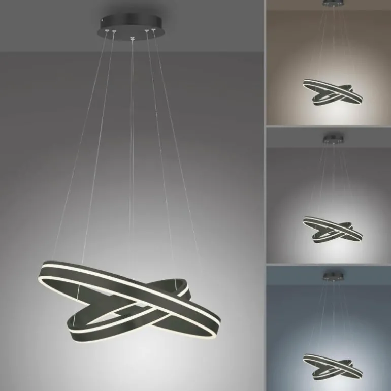 Suspension Paul Neuhaus Q-VITO LED Anthracite, 1 lumière, Télécommandes