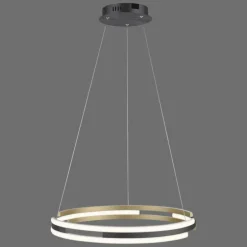 Suspension Paul Neuhaus Q-BELUGA LED Or, 1 lumière, Télécommandes