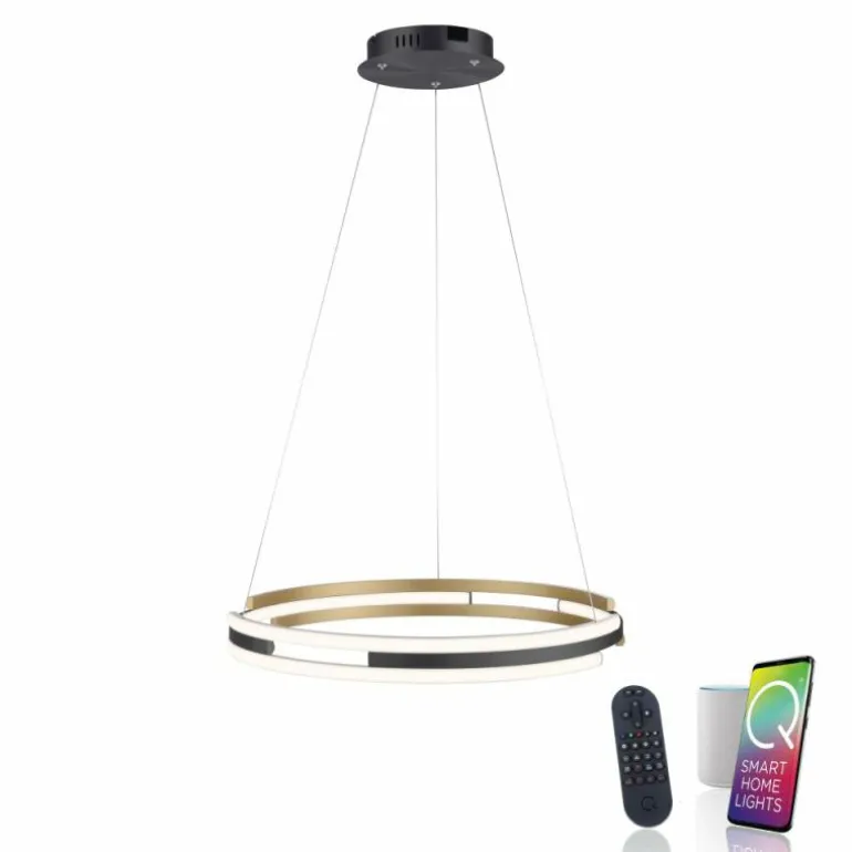 Suspension Paul Neuhaus Q-BELUGA LED Or, 1 lumière, Télécommandes