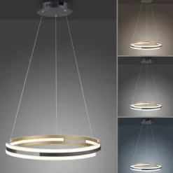 Suspension Paul Neuhaus Q-BELUGA LED Or, 1 lumière, Télécommandes