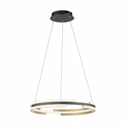 Suspension Paul Neuhaus Q-BELUGA LED Or, 1 lumière, Télécommandes