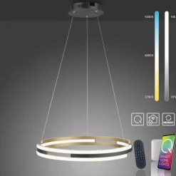 Suspension Paul Neuhaus Q-BELUGA LED Or, 1 lumière, Télécommandes