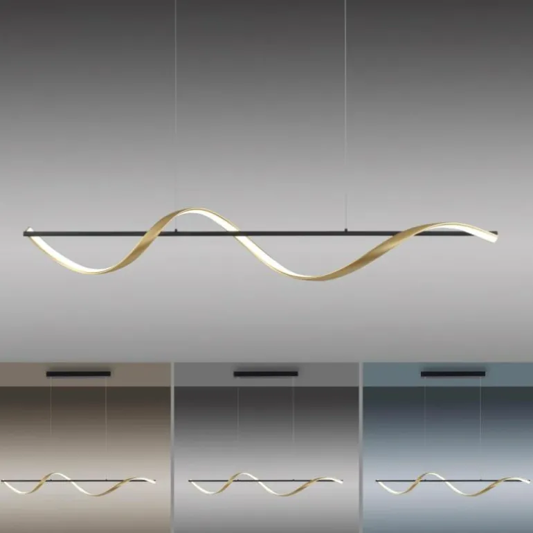 Suspension Paul Neuhaus Q-SWING LED Anthracite, Or, 1 lumière, Télécommandes