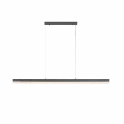 Suspension Paul Neuhaus SINA LED Noir, 3 lumières