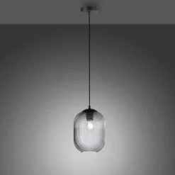 Suspension Paul Neuhaus SHITAKE Noir, 1 lumière